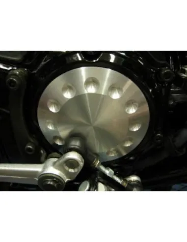 Enjoliveur carter sortie de boite Vmax 1200