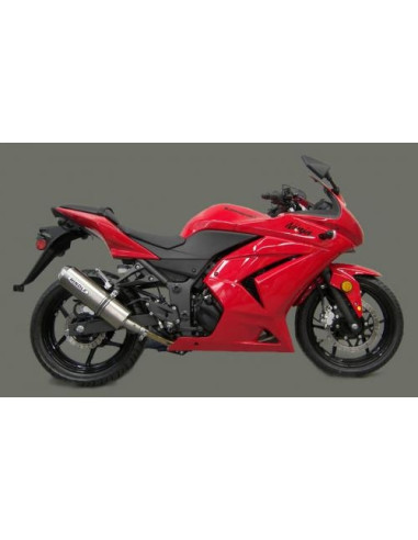 Collecteur Kawasaki 250 cm3.