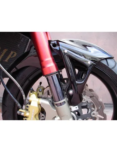 GSX-R 1000 - 2002 Proto