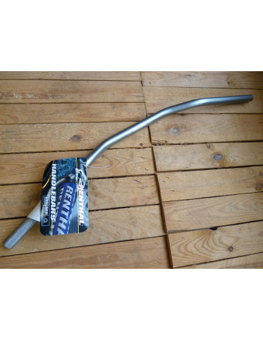 Guidon Renthal