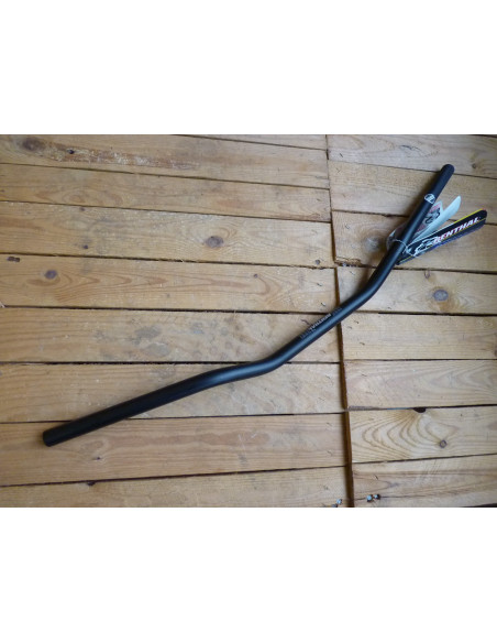 Guidon Renthal