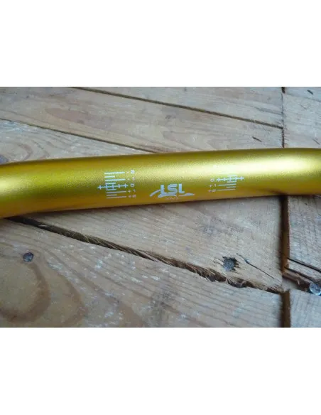 Guidon Renthal