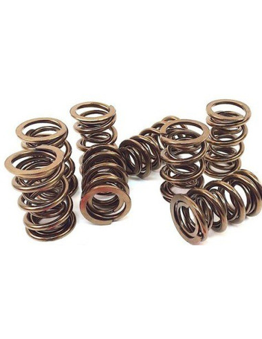 Ressorts de soupapes haute résistance APE Kawasaki