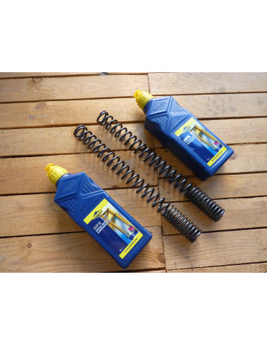 Ressort de fourche Triumph