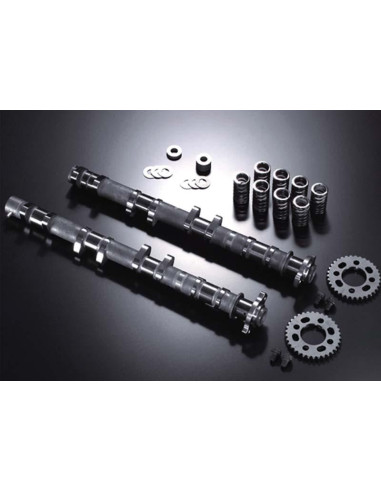 AAC Kawasaki 