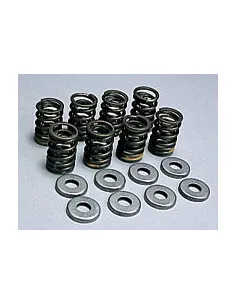 Kit ressorts Yoshimura GSXR 1100 W