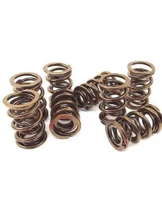 Kit disques Barnett GSXR 1100 86/95 2