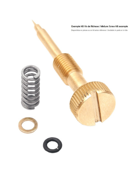 Juego de 4 tornillos de riqueza Mikuni RS  - 2