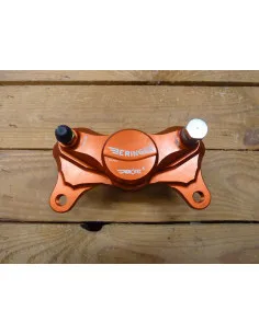 copy of Beringer Bremssattel hinten  - 2