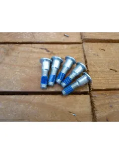 Vis de disques GSXR 600-750-1000-1100-1300  - 1 2