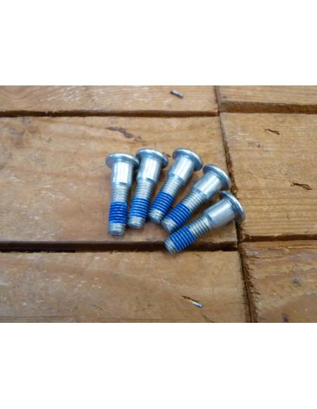 Vis de disques GSXR 600-750-1000-1100-1300  - 2