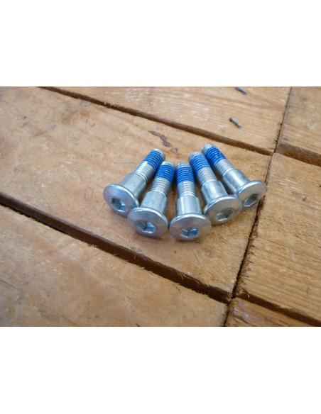 Vis de disques GSXR 600-750-1000-1100-1300  - 1