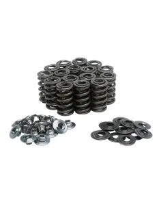 Kit de muelles de válvula APE GSXR SRAD 750  - 1