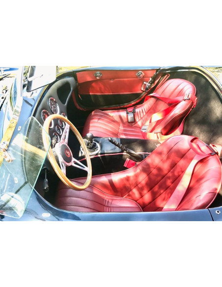 AC Cobras - 1979  - 2