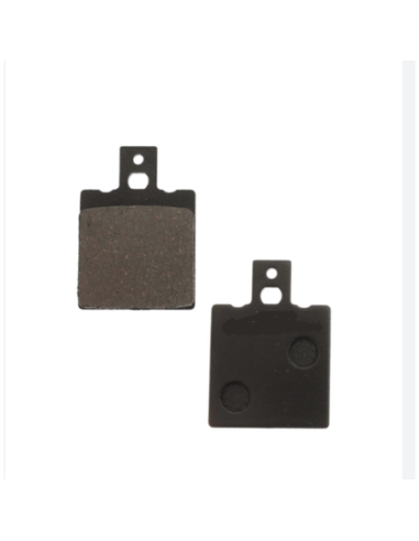 Plaquettes étrier Astrum  - 1