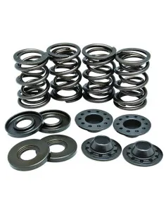 Kit ressorts de soupapes titane BMW  - 1