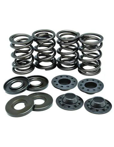 Kit ressorts de soupapes titane BMW  - 1
