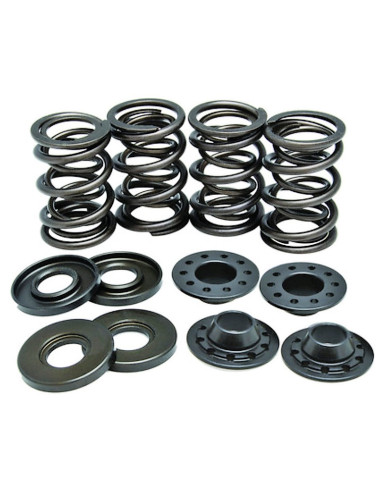 Kit ressorts de soupapes titane BMW  - 1