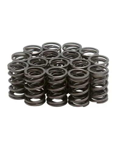 Kit ressorts racing Suzuki GS 750-1100-1150  - 1