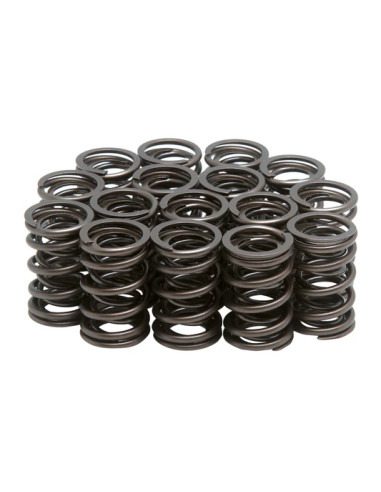 Kit ressorts racing Suzuki GS 750-1100-1150  - 1