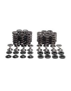 Kit ressorts titane Kawasaki ZX-14  - 1
