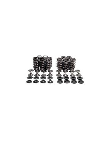Kit ressorts titane Kawasaki ZX-14  - 1