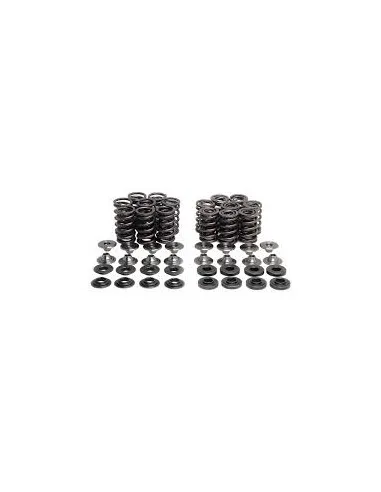 Kit ressorts titane Kawasaki ZX-14  - 1