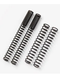 Kit RESSORT BITUBO GSXR 1000 05-06  - 1