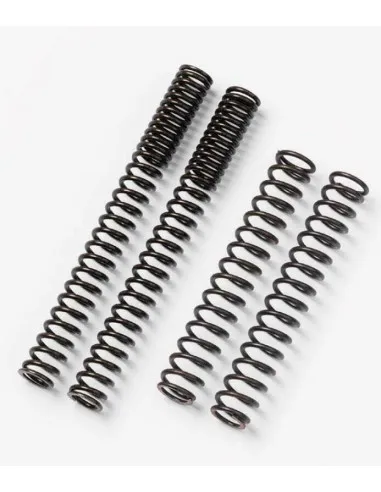 Kit RESSORTs BITUBO GSXR1000 05-06  - 1