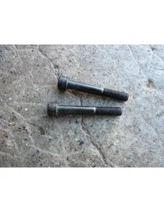 Vis carter moteur GSXR 750 92-95  - 1