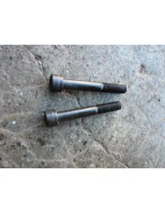 Vis carter moteur GSXR 750 92-95  - 1 2