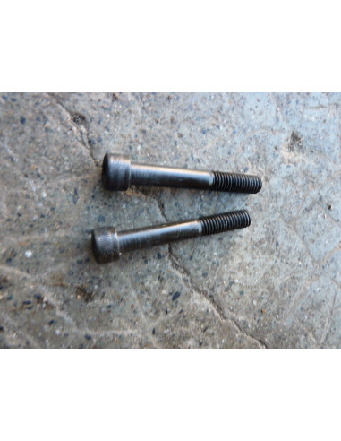 Vis carter moteur GSXR 750 92-95  - 2