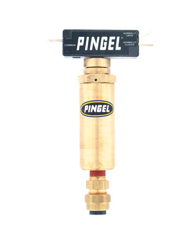 Coupure allumage shifter air Pingel  - 1