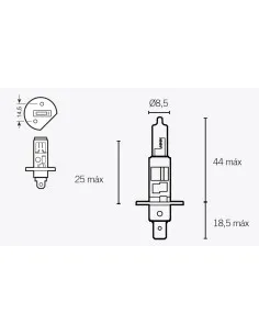 Ampoule H1  - 1 2