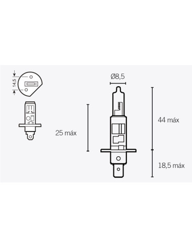 Ampoule H1  - 2