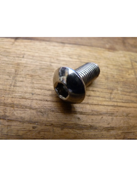 Vis platine GSXR 750-1100  - 1