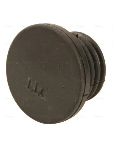 Bouchon de vase d'expansion V-Strom  - 1